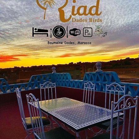 Riad Dades Birds Boumalne Dades Exterior foto