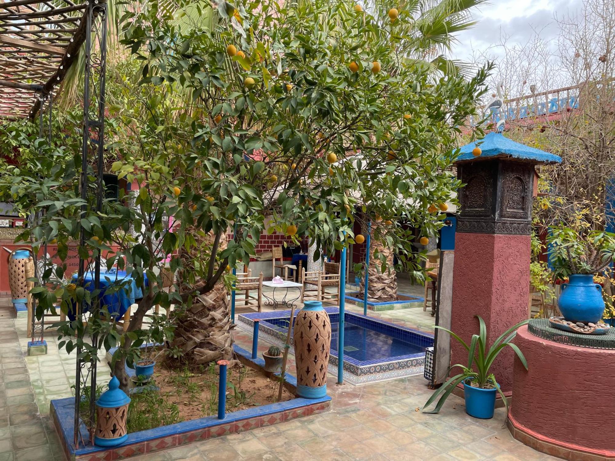 Riad Dades Birds Boumalne Dades Exterior foto